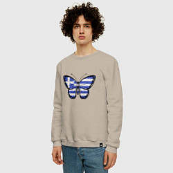 Свитшот хлопковый мужской Бабочка - Греция, цвет: миндальный — фото 2