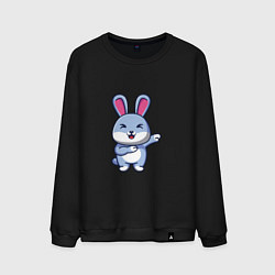 Мужской свитшот Bunny Dab