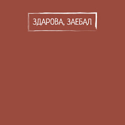 Свитшот хлопковый мужской Здарова, заебал, цвет: кирпичный — фото 2