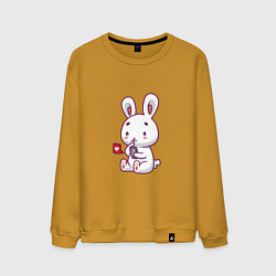 Мужской свитшот Rabbit like