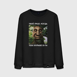 Мужской свитшот Мудрое дерево с лицом мем - когда тебе больше 25