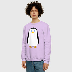 Свитшот хлопковый мужской Красивый пингвин, цвет: лаванда — фото 2