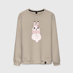 Мужской свитшот Cute white rabbit