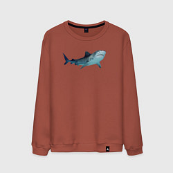Свитшот хлопковый мужской Realistic shark, цвет: кирпичный