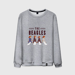 Свитшот хлопковый мужской Beagles, цвет: меланж