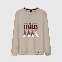 Мужской свитшот Beagles