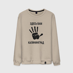 Мужской свитшот Здесь вам Калининград