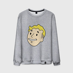 Свитшот хлопковый мужской Vault boy head, цвет: меланж