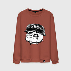 Свитшот хлопковый мужской Evil bulldog head, цвет: кирпичный