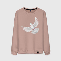 Свитшот хлопковый мужской Белый голубь, цвет: пыльно-розовый
