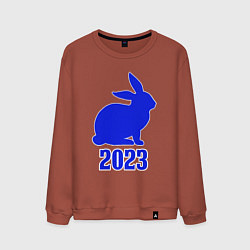Свитшот хлопковый мужской 2023 силуэт кролика синий, цвет: кирпичный