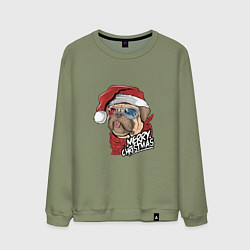 Свитшот хлопковый мужской Pug merry christmas, цвет: авокадо