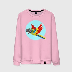 Свитшот хлопковый мужской Красочный попугай, цвет: светло-розовый