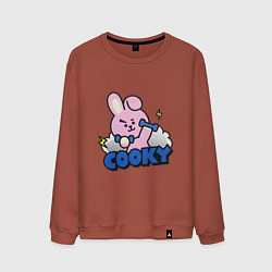Свитшот хлопковый мужской Cooky BT21 Jungkook, цвет: кирпичный