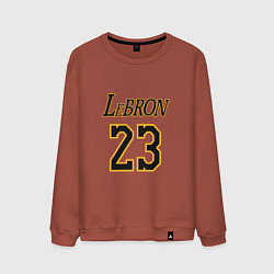 Свитшот хлопковый мужской Lebron 23, цвет: кирпичный