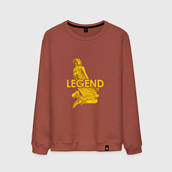 Свитшот хлопковый мужской Kobe legend, цвет: кирпичный