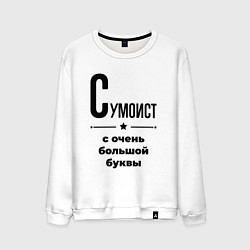 Мужской свитшот Сумоист - с очень большой буквы