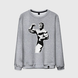 Свитшот хлопковый мужской Power Trump, цвет: меланж