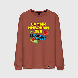 Свитшот хлопковый мужской Самый имбовый дед, цвет: кирпичный