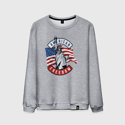 Мужской свитшот American freedom