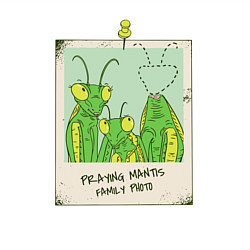 Свитшот хлопковый мужской Praying mantis family photo, цвет: белый — фото 2