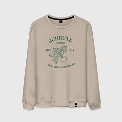 Свитшот хлопковый мужской Ферма Шрутов, цвет: миндальный