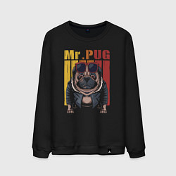 Мужской свитшот Mr pug