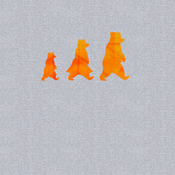 Свитшот хлопковый мужской Три медведя семья, цвет: меланж — фото 2