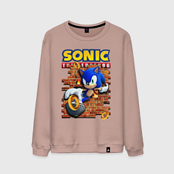 Свитшот хлопковый мужской Соник ёж, цвет: пыльно-розовый