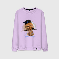 Свитшот хлопковый мужской Bird of paradise, цвет: лаванда