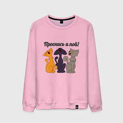 Мужской свитшот Поющие коты