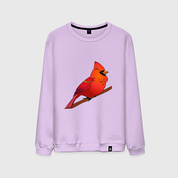 Свитшот хлопковый мужской Птица красный кардинал, цвет: лаванда