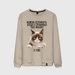 Свитшот хлопковый мужской Кот-ворчун мем, цвет: миндальный