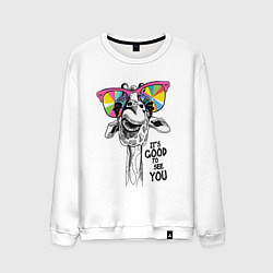 Свитшот хлопковый мужской Жираф в цветных очках, цвет: белый