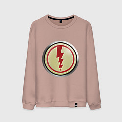 Свитшот хлопковый мужской Греческие города Rome: Total War, цвет: пыльно-розовый