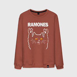 Мужской свитшот Ramones rock cat