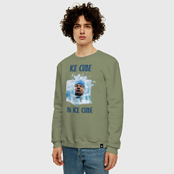 Свитшот хлопковый мужской Ice Cube in ice cube, цвет: авокадо — фото 2