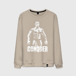 Свитшот хлопковый мужской Arnold conquer, цвет: миндальный