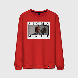 Свитшот хлопковый мужской Sigma Male, цвет: красный