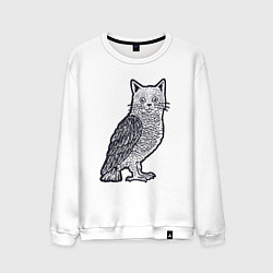 Свитшот хлопковый мужской Кошка сова, цвет: белый