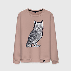 Свитшот хлопковый мужской Кошка сова, цвет: пыльно-розовый