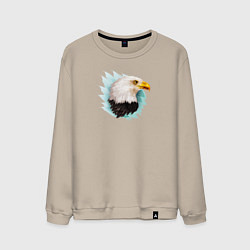Свитшот хлопковый мужской Белоголовый орёл, цвет: миндальный