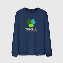 Мужской свитшот Tricell Inc