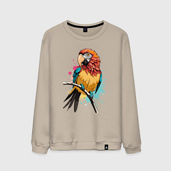 Свитшот хлопковый мужской Акварельный попугай, цвет: миндальный