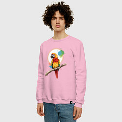 Свитшот хлопковый мужской Яркий какаду, цвет: светло-розовый — фото 2