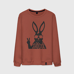 Мужской свитшот Stay cool rabbit