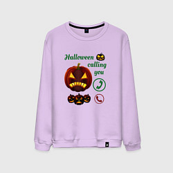 Свитшот хлопковый мужской Хэллоуин, ночной звонок, цвет: лаванда