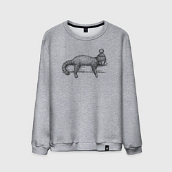 Свитшот хлопковый мужской Рыжая панда отдыхает, цвет: меланж