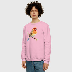 Свитшот хлопковый мужской Оранжевая птица на ветке, цвет: светло-розовый — фото 2