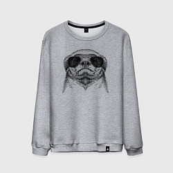 Мужской свитшот Медоед в очках